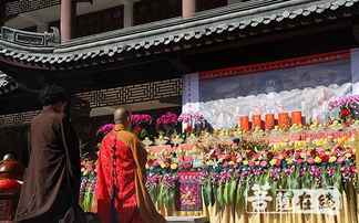 九月九給仙家上什么供 仙門中的禁忌 4
