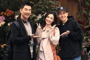 張柏芝跟任賢齊是什么關系