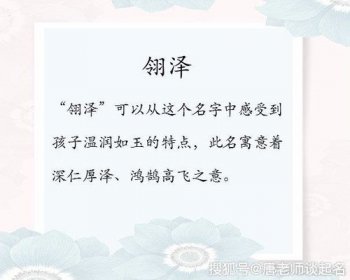翎用在名字里的寓意 翎用作名字的寓意好嗎 4