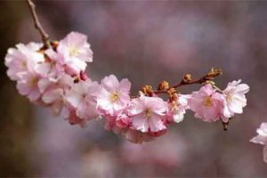 平安夜送男朋友什么好 注意男孩喜歡的風(fēng)格