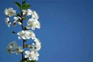婚外情被老婆發(fā)現(xiàn)了 沒有任何的機會挽回
