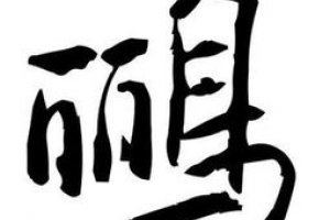 黃鸝的鸝組詞有哪些