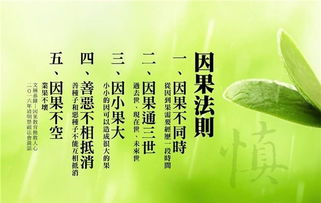 佛講愛哭人的前世因果 聽佛歌會哭的人業障深 4