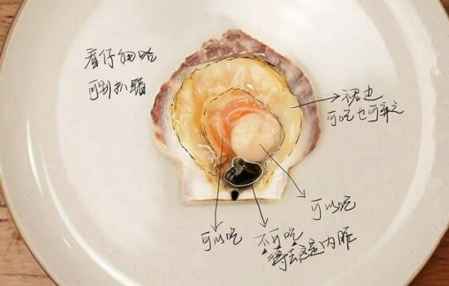 扇貝什么地方不能吃圖片 扇貝食用前的清洗處理 2