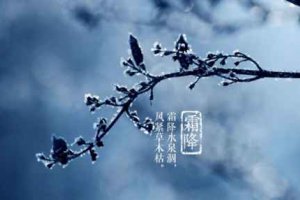 降霜為什么吃柿子 霜降吃柿子有啥好處