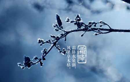 降霜為什么吃柿子 霜降吃柿子有啥好處 1