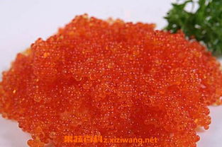 飛魚籽產地哪里 飛魚籽是什么魚產的 2